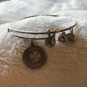 Alex and Ani “Lucky” Charm Bangle